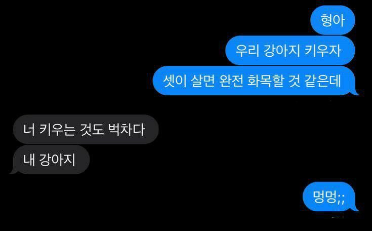 사랑, 사랑, 사랑만이 | 인스티즈