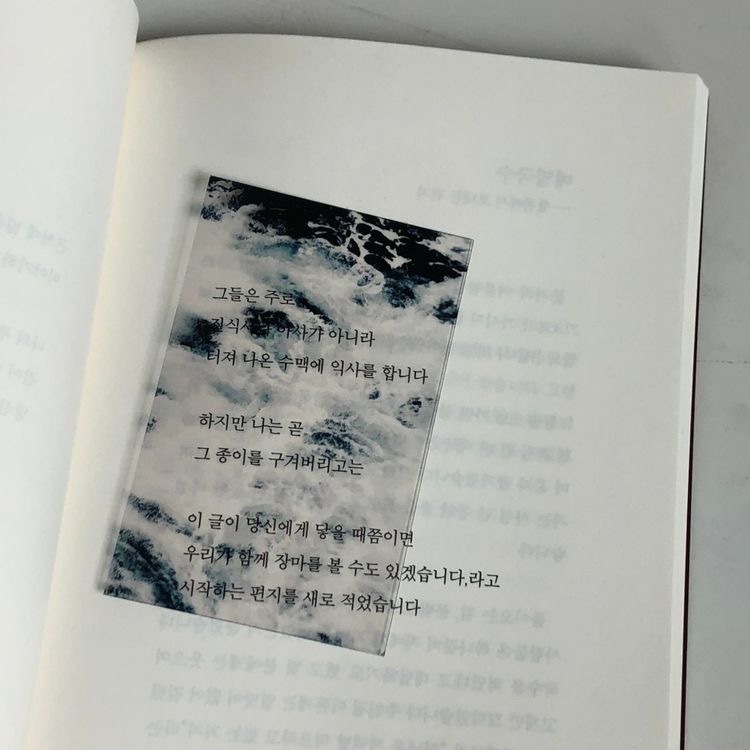 사랑, 사랑, 사랑만이 | 인스티즈