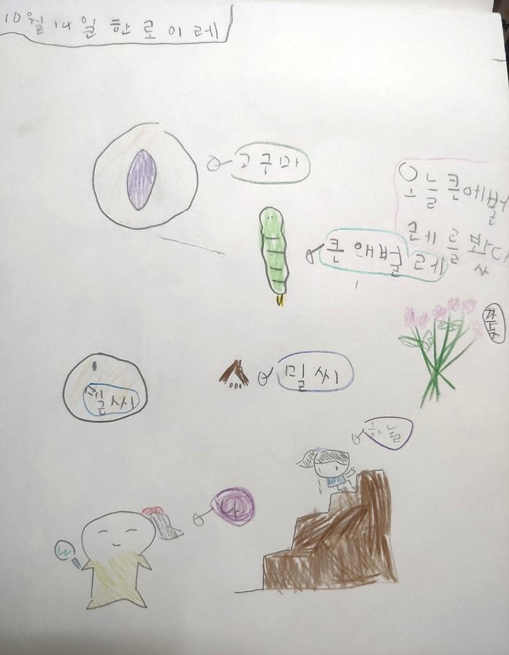 이레밀 이미지