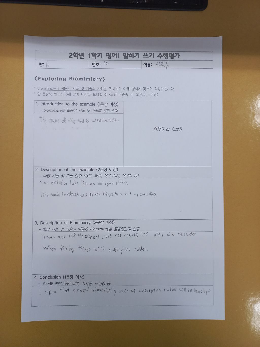 신우주 이미지