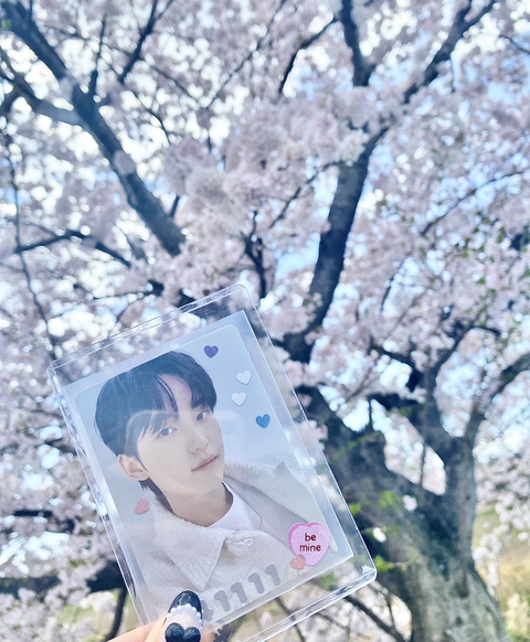 빛나는,휘 이미지