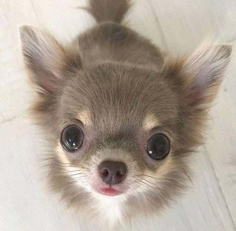 놀자 이미지