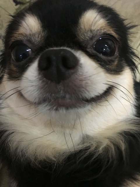 놀자 이미지