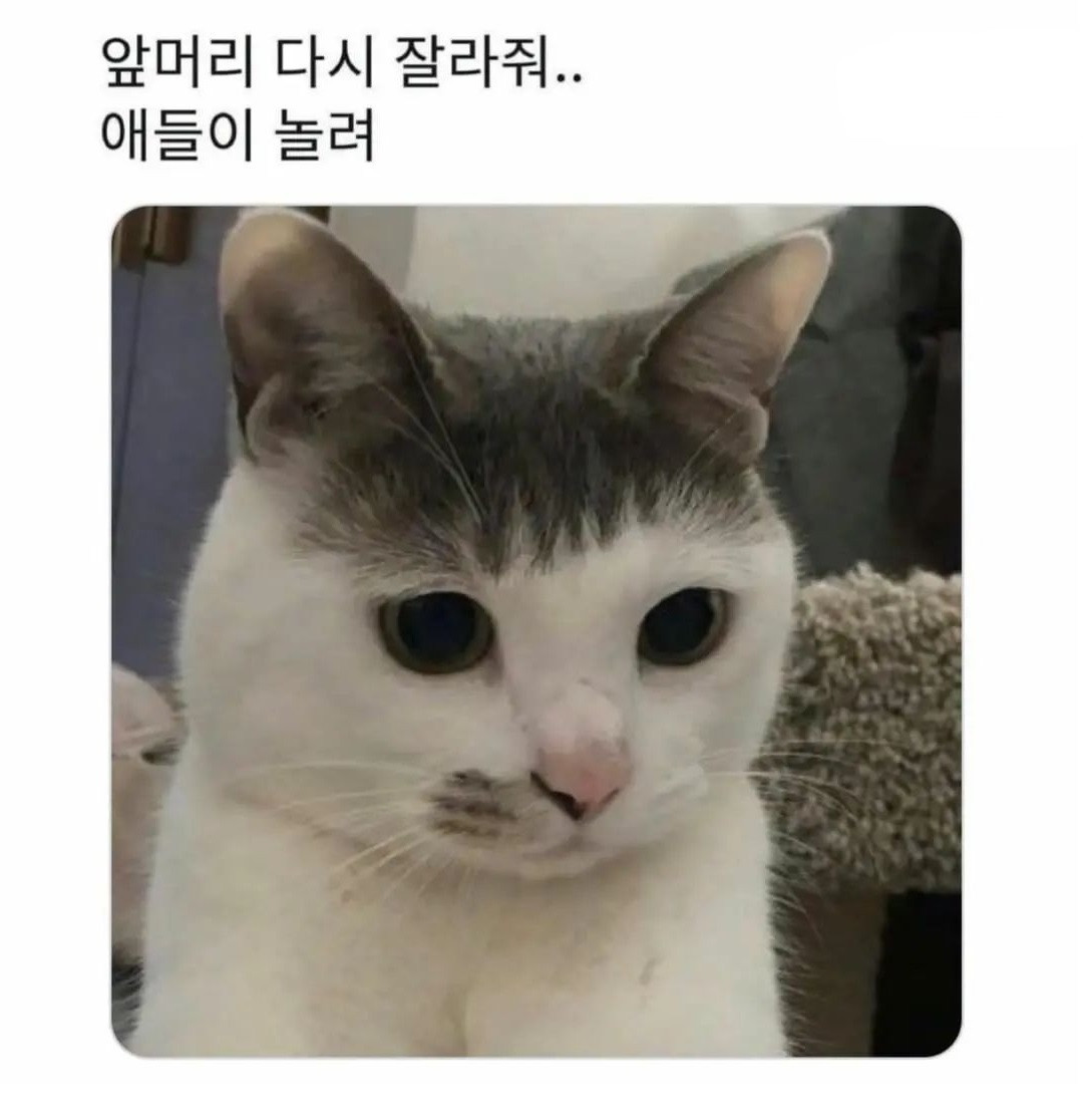 태후 이미지