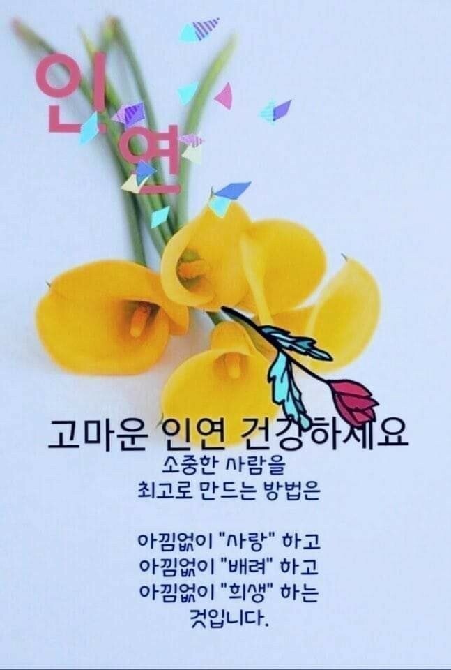해피천 이미지