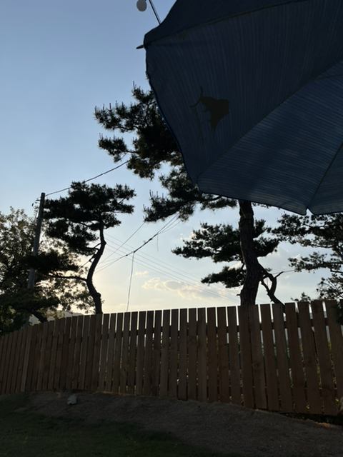태훈카 이미지