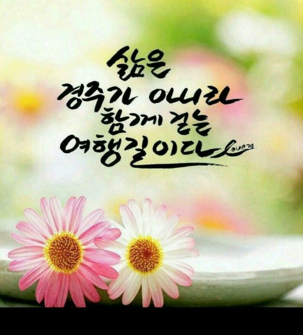 훼미리플라워 이미지