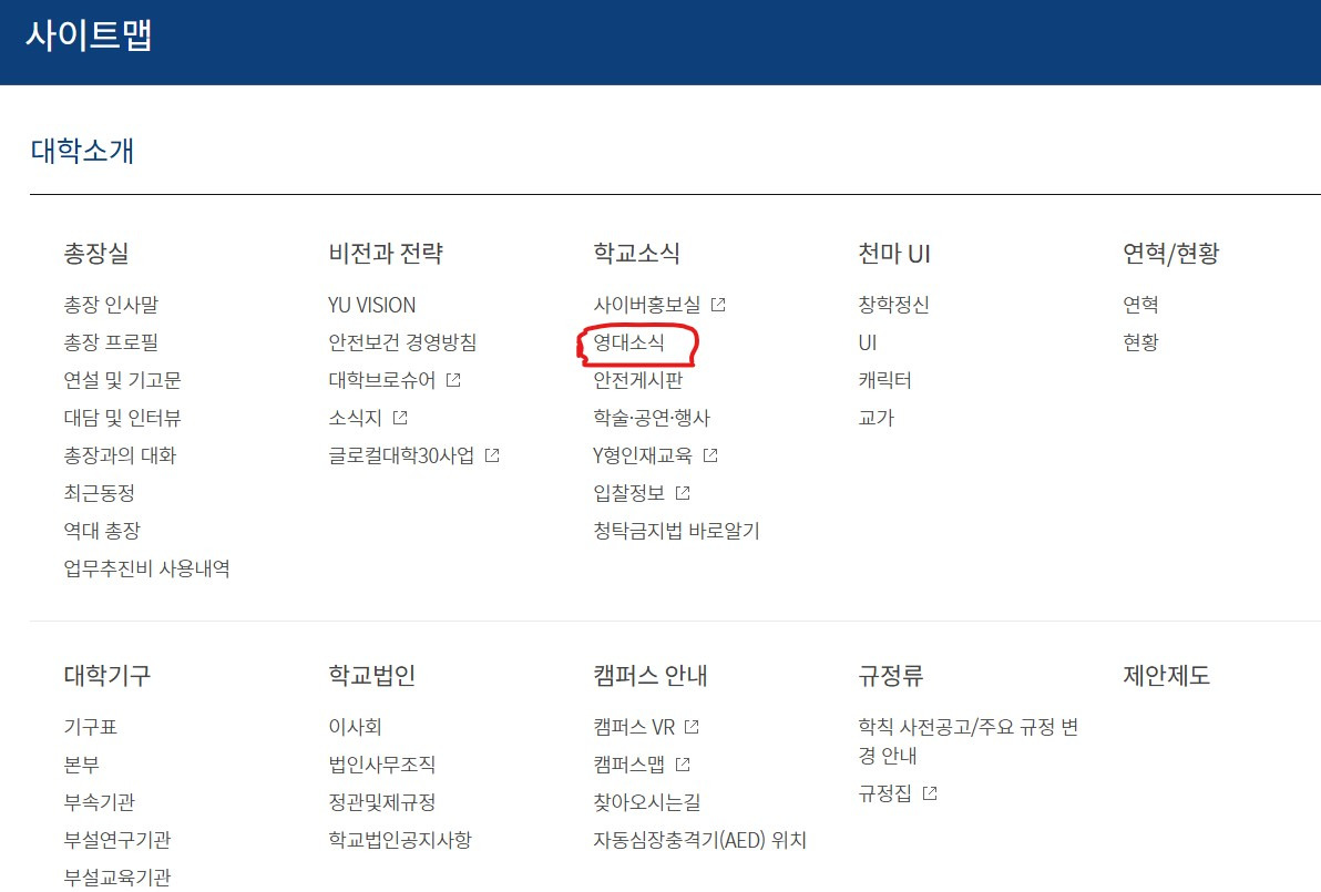 늘푸른나무 이미지