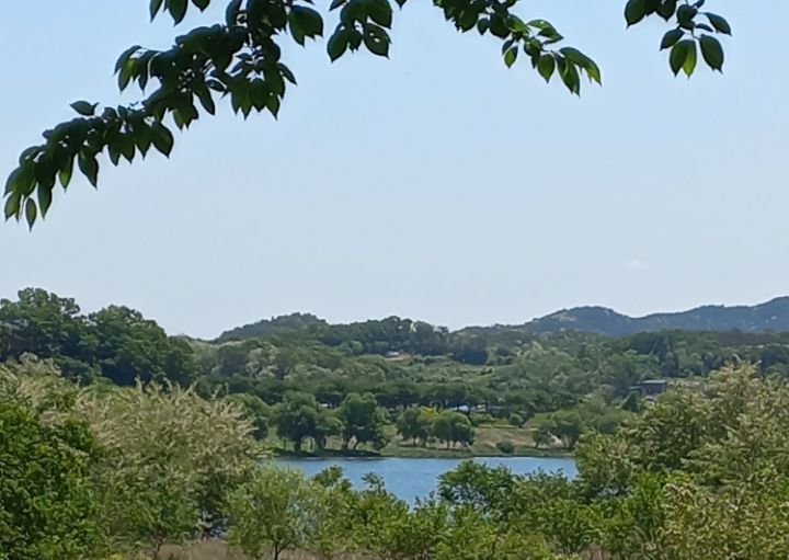 동구밖과수원길 이미지