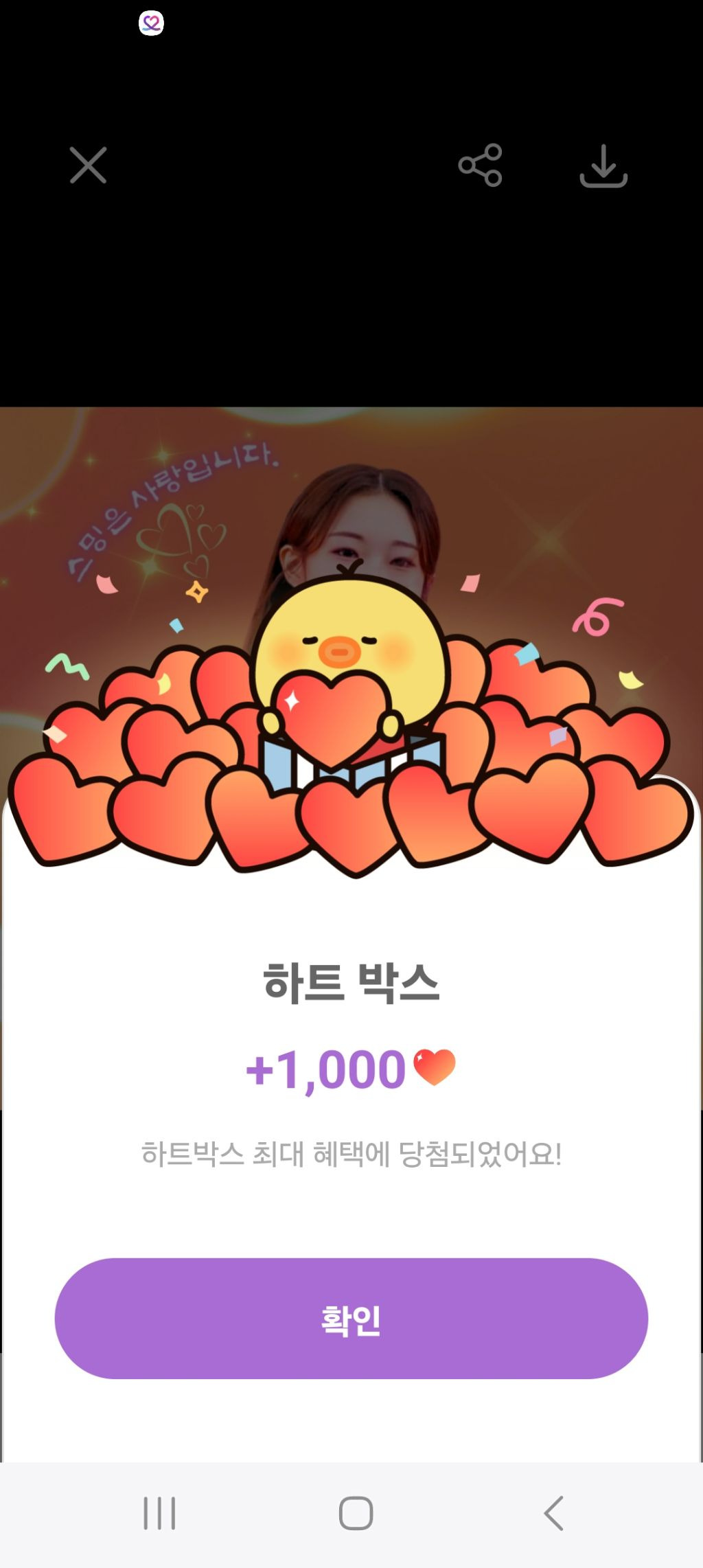 샐럽 이미지
