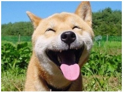 사오정 이미지