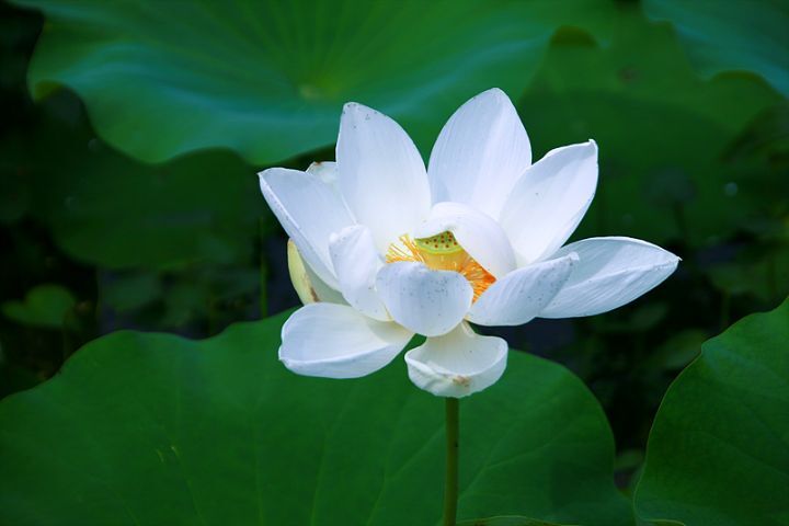 소중한선택 이미지