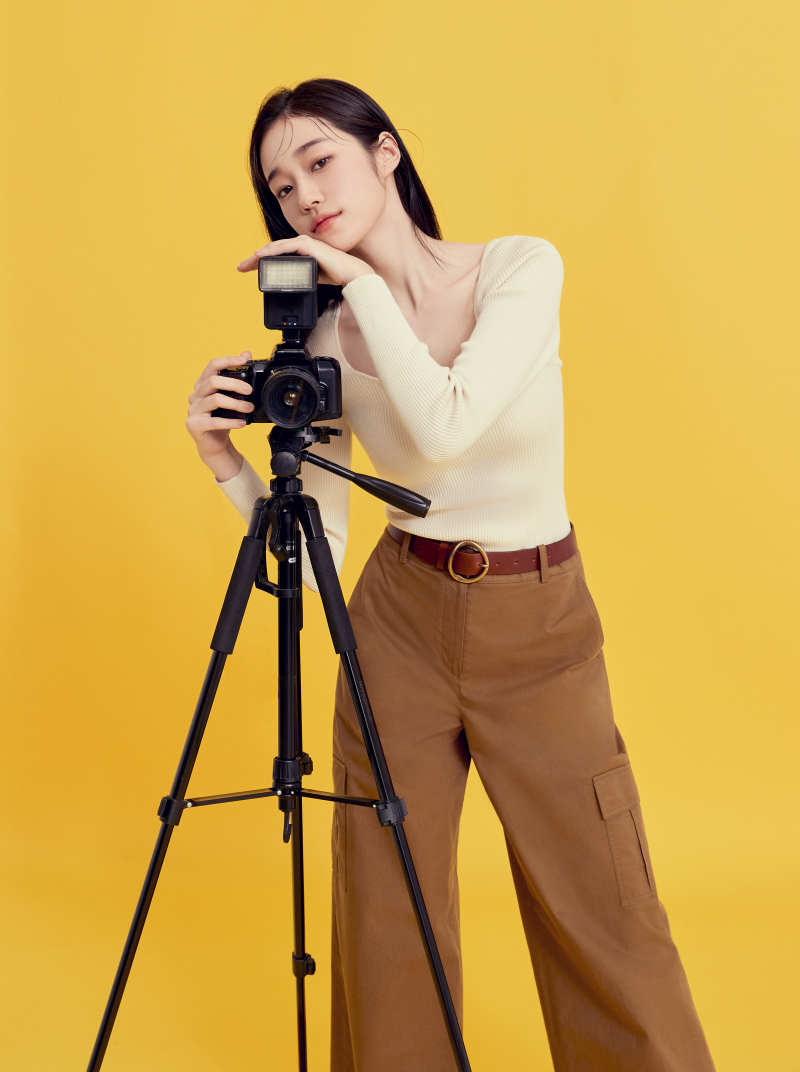 바쉬 이미지