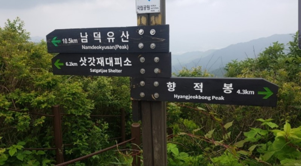 (유)누리관광 이미지