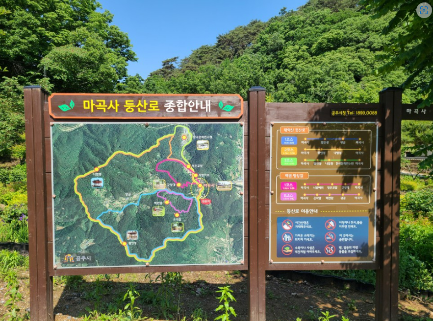 새희망 이미지