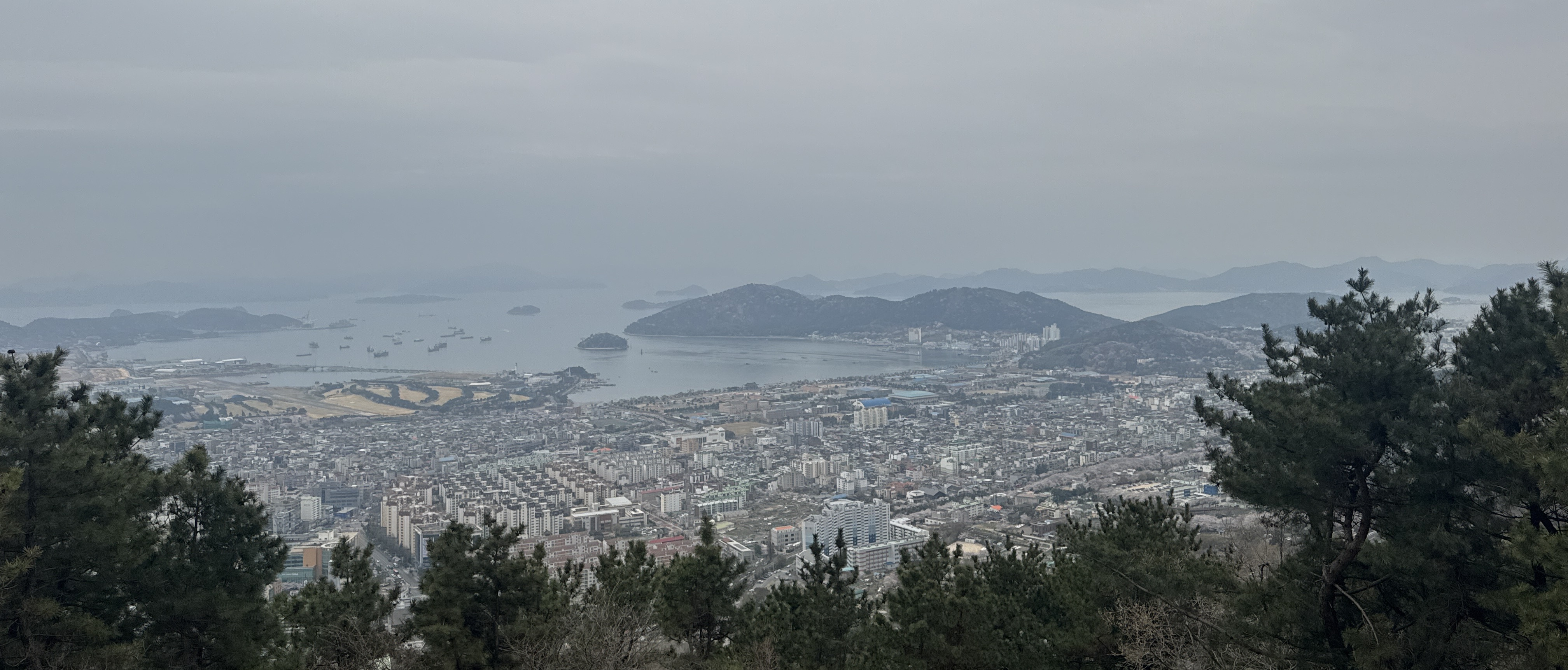 낙낙 이미지