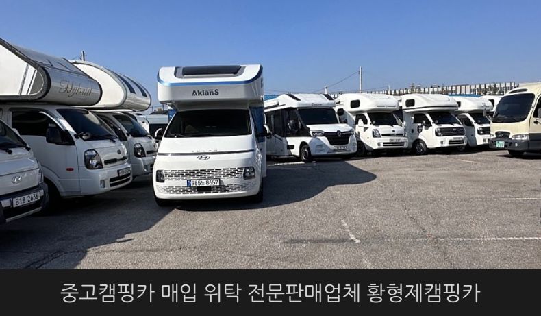 벨라-쥬 이미지