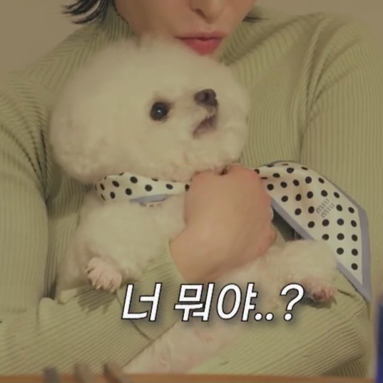 힘들었던 지난 3년동안 고마운 사람이 많이 생겼다는 가인.jpg (ft.임슬옹) | 인스티즈