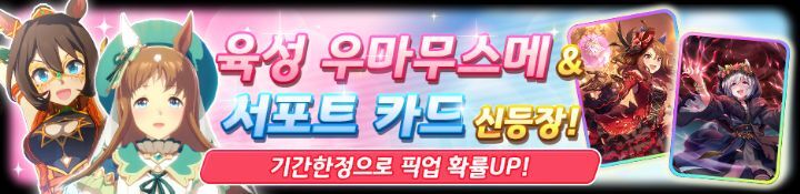 디자인엘콘 이미지