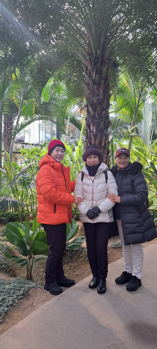 수피아 이미지