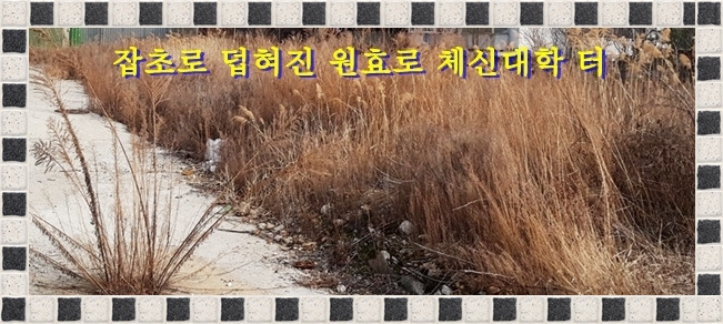 국제통신 이미지