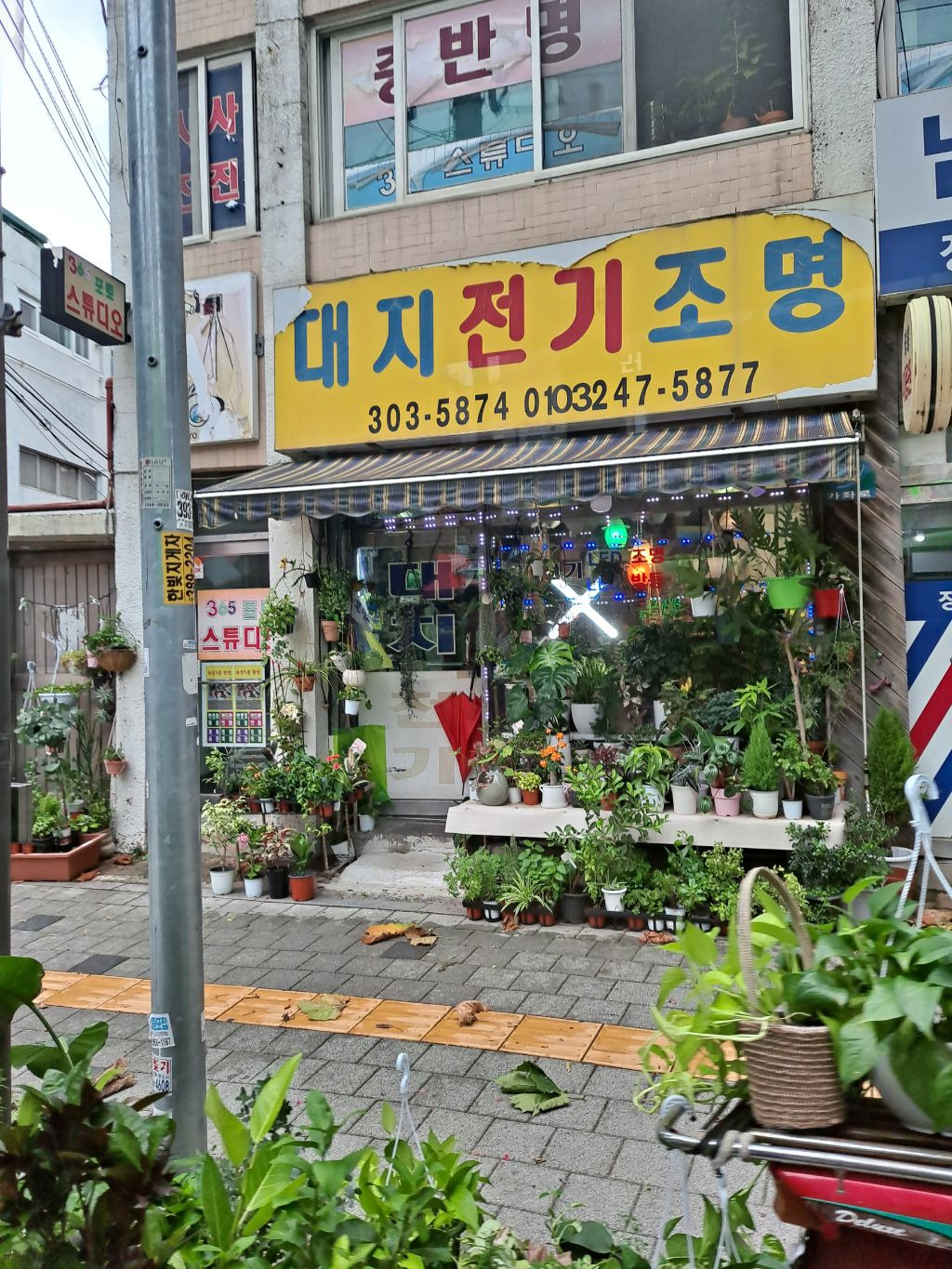 대지전기조명 이미지