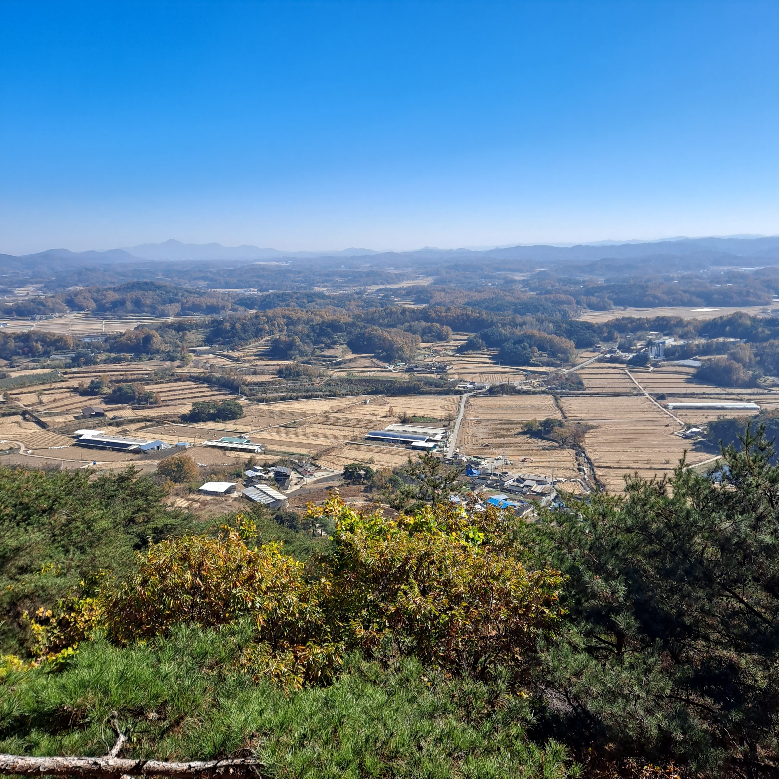 돈달산 이미지