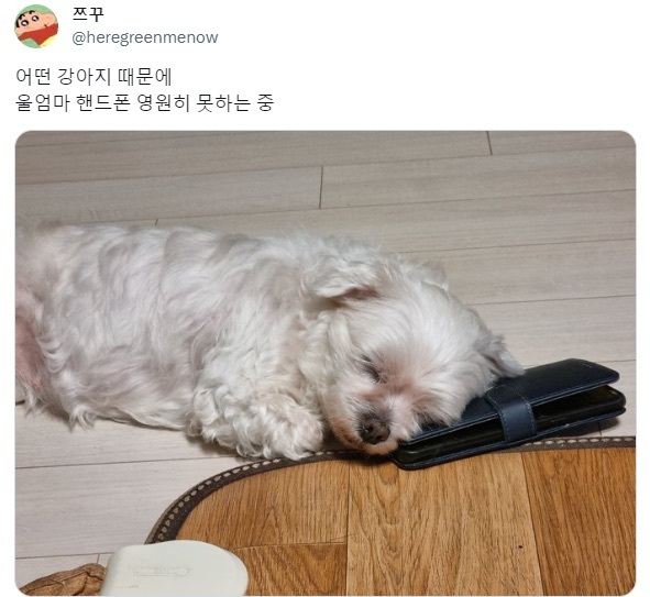 안녕하세요 이미지