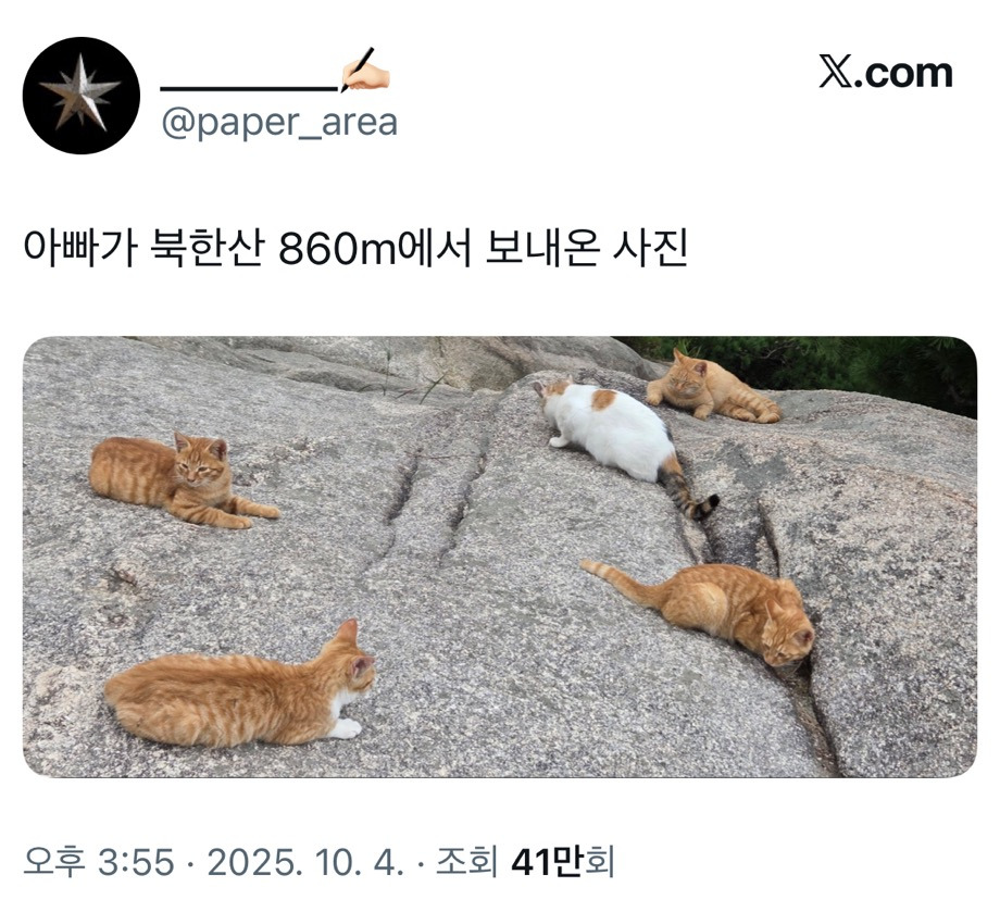 아빠가 북한산 860m에서 보내온 사진.twt | 인스티즈