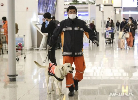 멕시코에서 튀르키예로 출동하는 구조견들 | 인스티즈