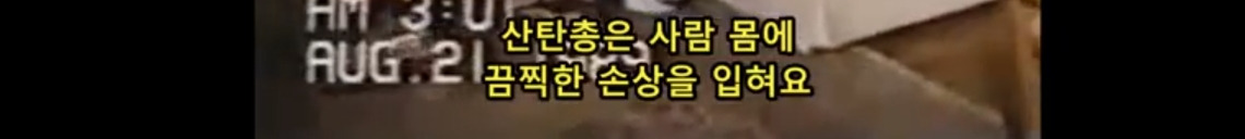 베버리힐즈의 부부가 살해당했다는 신고가 들어왔다 | 인스티즈