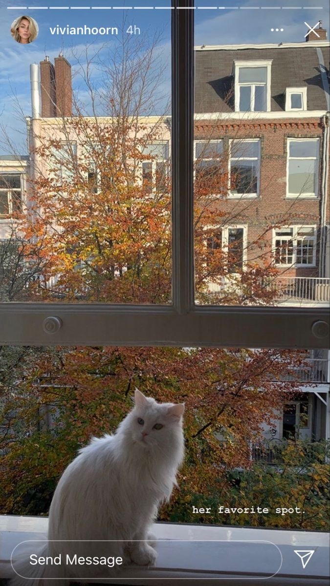 가을 사룽혀 | 인스티즈