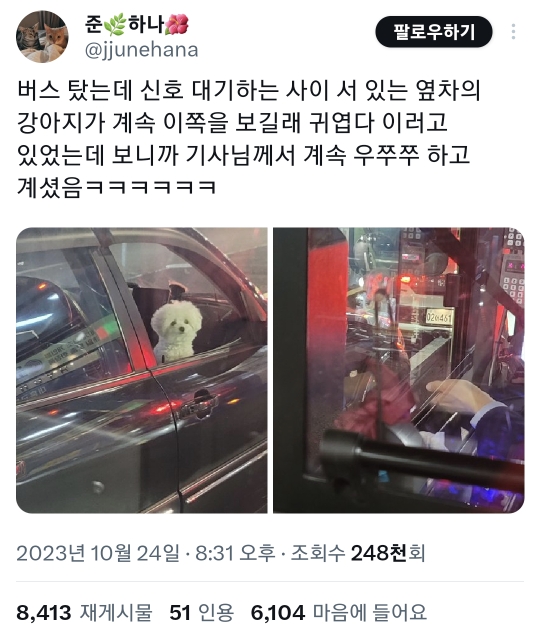 옆차의 강아지가 계속 이쪽을 보길래 귀엽다 이러고 있었는데 보니까 기사님께서 계속 우쭈쭈 하고 계셨음.twt | 인스티즈