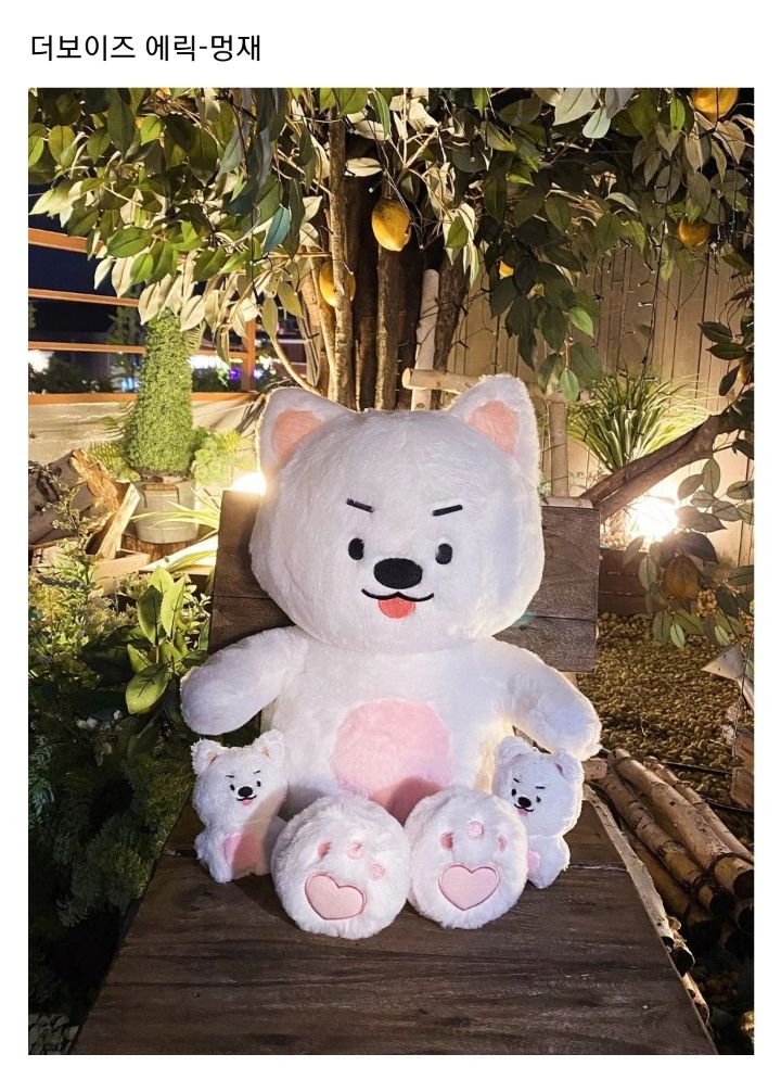 요즘 아이돌 팬들 사이에 인기인 듯한 동물 40cm 인형 | 인스티즈