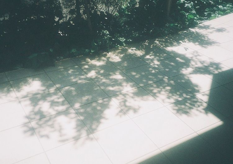 여름이었다 | 인스티즈