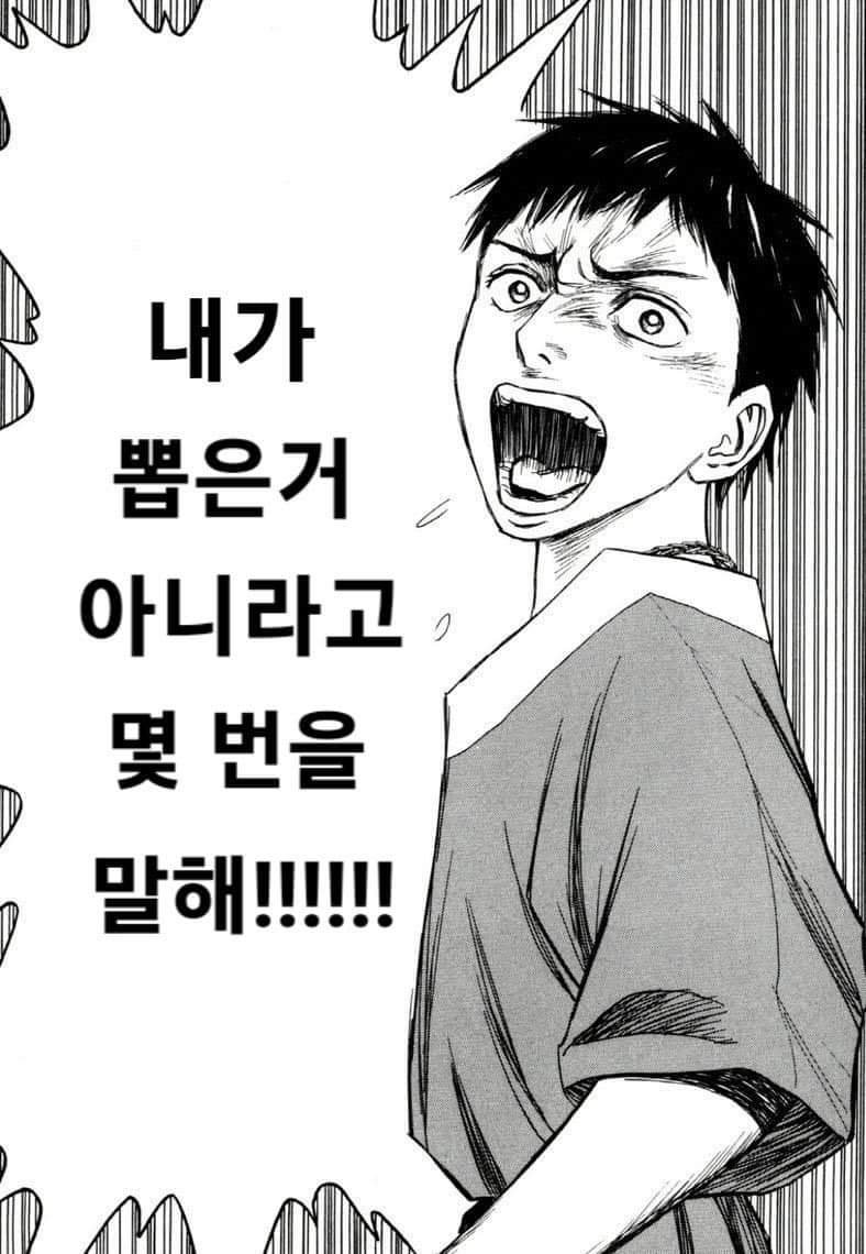 사람들 진짜 대통령 때문에 개빡쳐있었구나…라고 생각은 드는데.. twt | 인스티즈