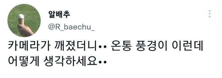 카메라가 깨졌더니.. 온통 풍경이 이런데 어떻게 생각하세요..twt | 인스티즈