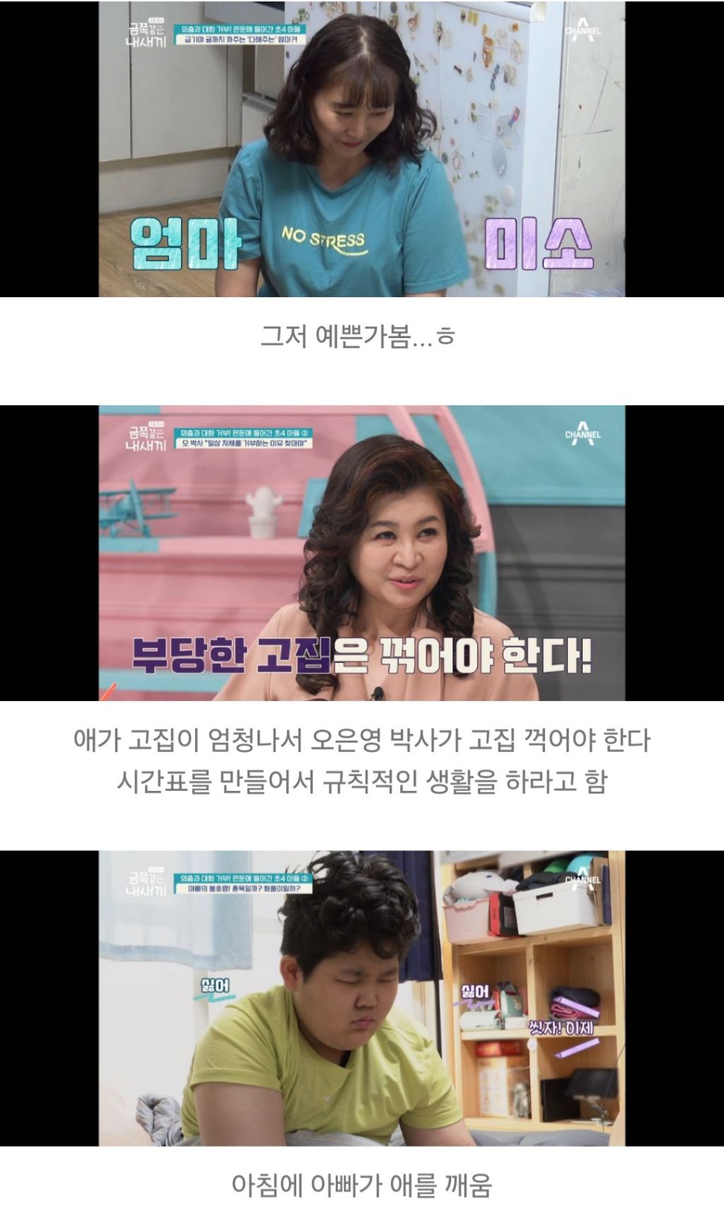 대한민국 가정집에서 아들들이 자라나는 과정 | 인스티즈