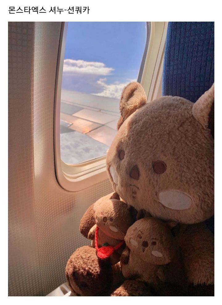 요즘 아이돌 팬들 사이에 인기인 듯한 동물 40cm 인형 | 인스티즈