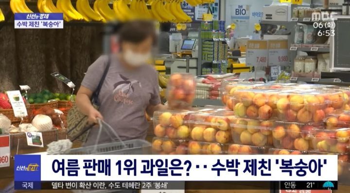 여름 과일 부동의 1위 수박을 제치다 | 인스티즈