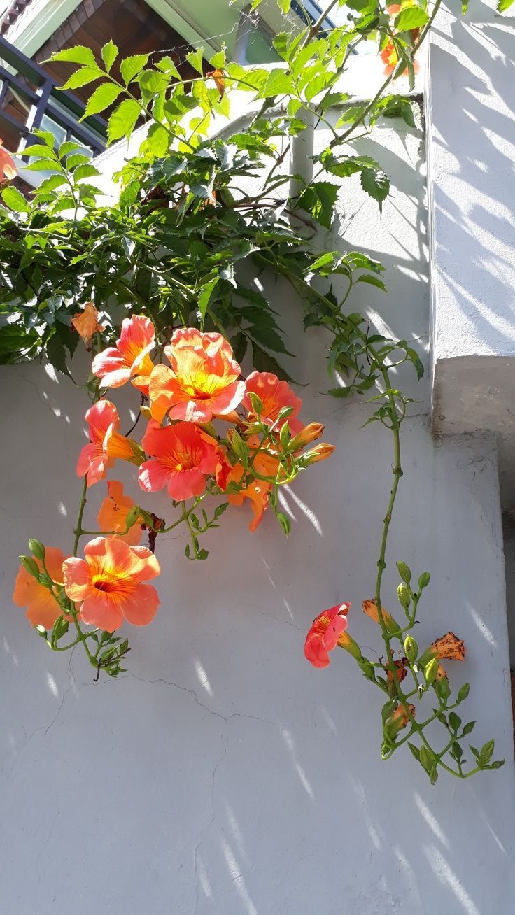 한국 그리고 여름 | 인스티즈