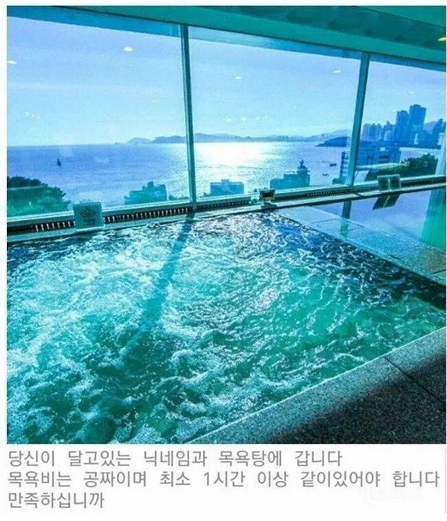 목욕비는 무료입니다. 대신에... | 인스티즈