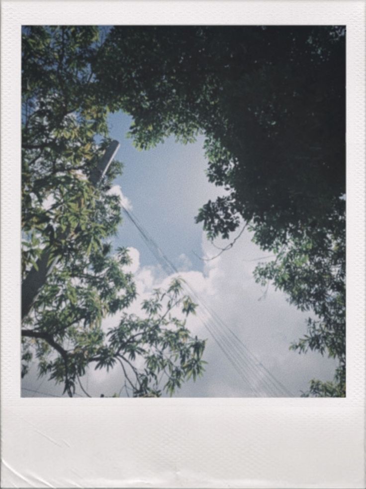 여름이었다 | 인스티즈