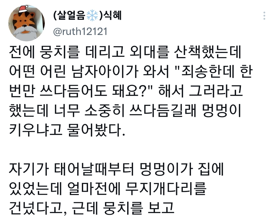 아저씨가 강아지 신발에 관심을 가진 이유.twt 🐶🥺 | 인스티즈