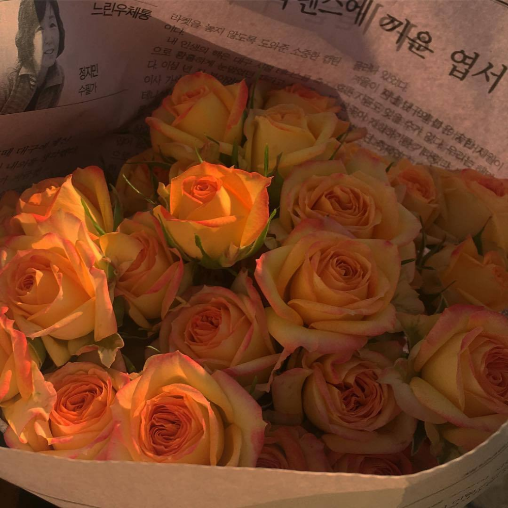 좋지 않습니까? 그런 사람이 있다는 거. 서로 같은 사람이라는 거 | 인스티즈