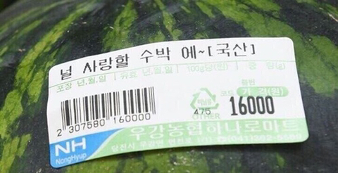 커뮤에서 의견통일 하려는 게 제일 큰 독인 것 같다고 생각하는 글 | 인스티즈