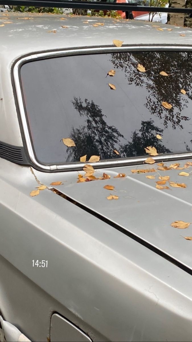 가을 사룽혀 | 인스티즈