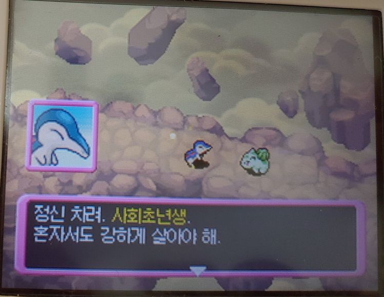 잘자, 나의 우는 사랑 | 인스티즈