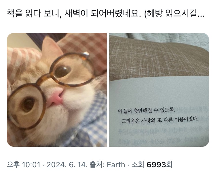 난 챗지피티 그냥 이러고 노는 데에 쓰는데.twt | 인스티즈