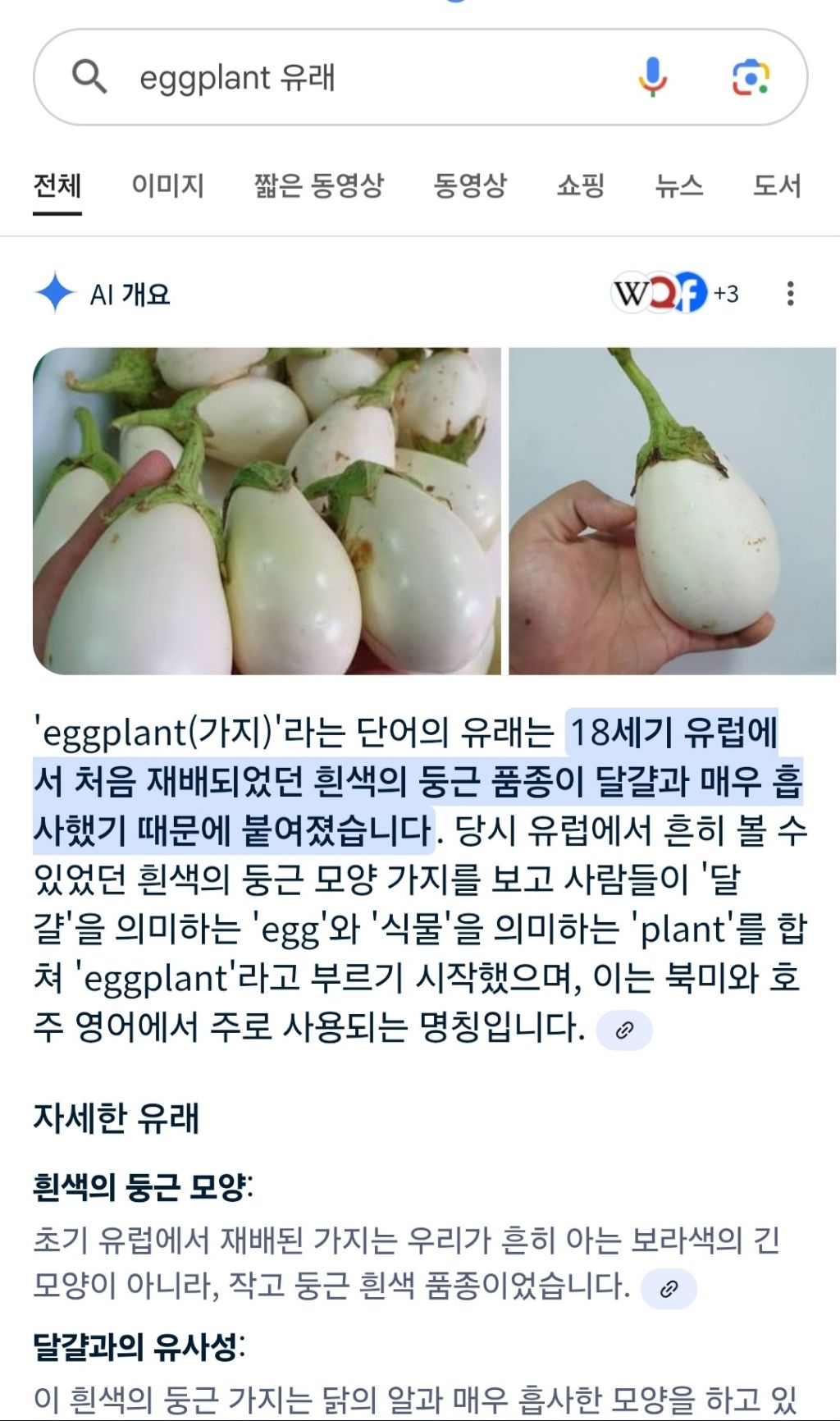 🍆가지가 영어로 eggplant 인 이유 | 인스티즈